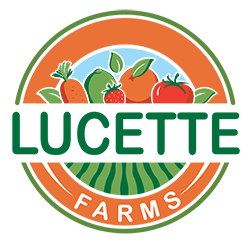 Lucette Farms